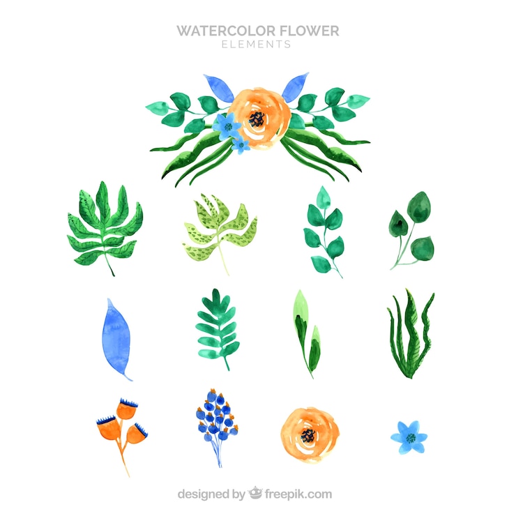 Vector gratuito colección de elementos florales con especies diferentes