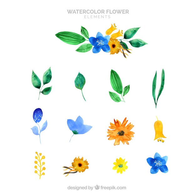 Colección de elementos florales con especies diferentes