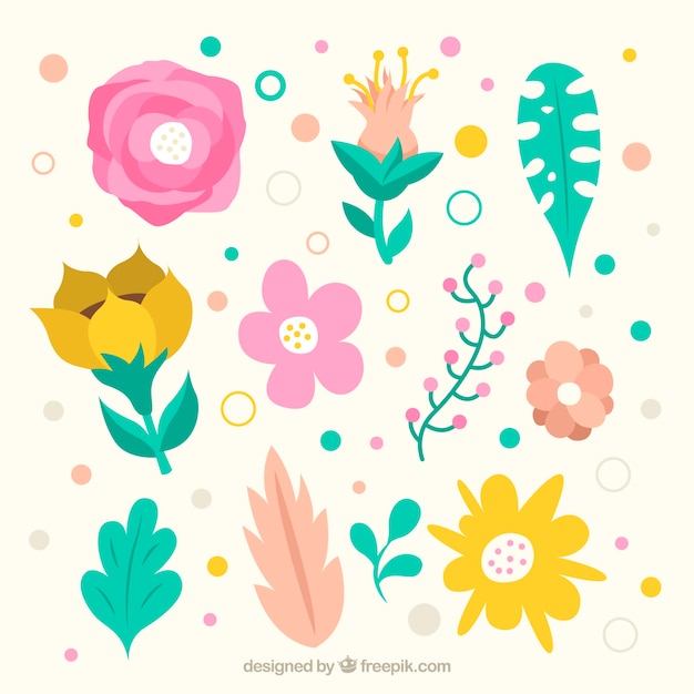 Colección de elementos florales con especies diferentes