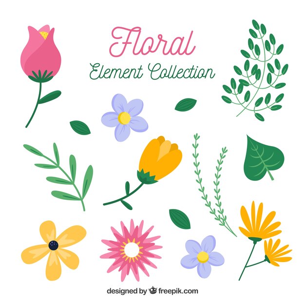 Colección de elementos florales con especies diferentes