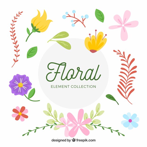 Colección de elementos florales con especies diferentes