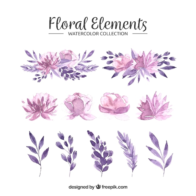 Vector gratuito colección de elementos florales en estilo acuarela