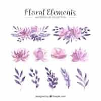 Vector gratuito colección de elementos florales en estilo acuarela