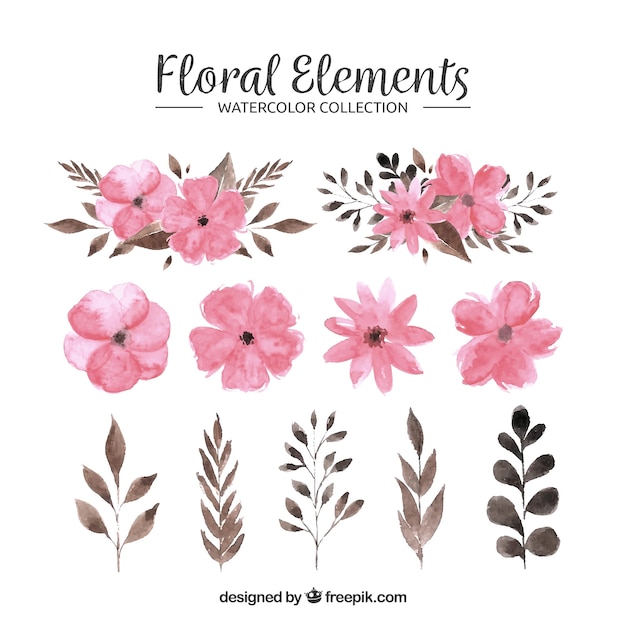 Colección de elementos florales en estilo acuarela