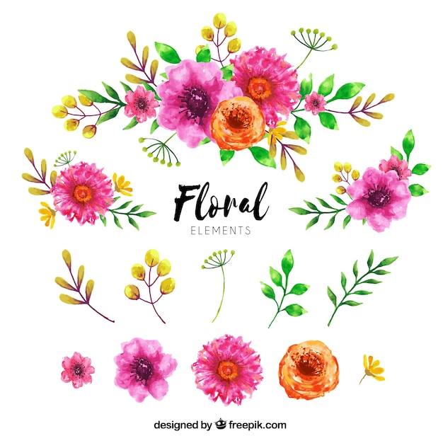 Vector gratuito colección de elementos florales en estilo acuarela