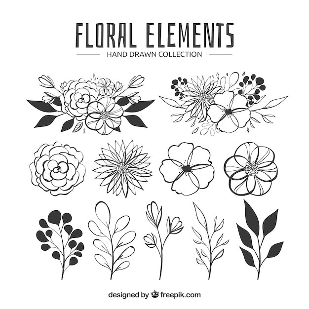 Colección de elementos florales en estilo hecho a mano