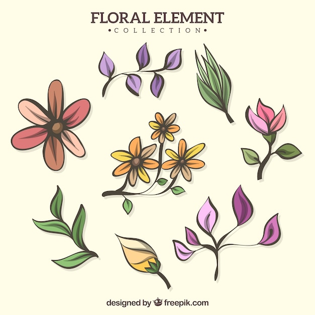 Vector gratuito colección de elementos florales hechos a mano