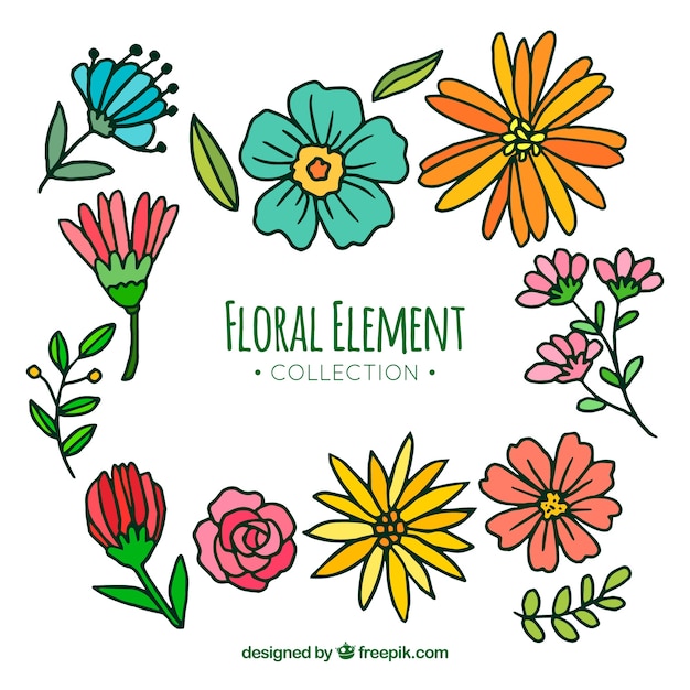 Colección de elementos florales