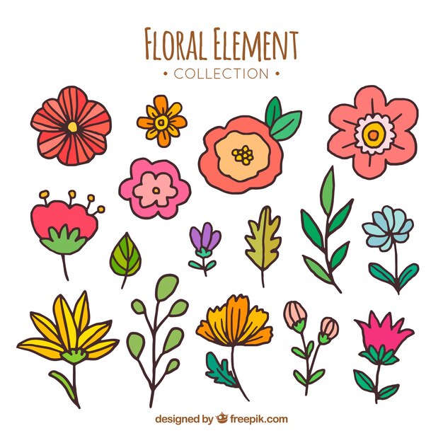 Colección de elementos florales