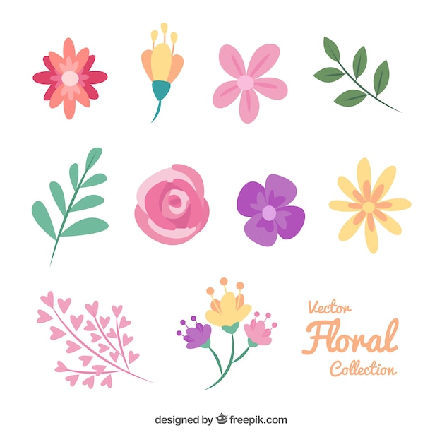 Colección de elementos florales