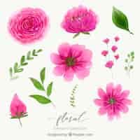 Vector gratuito colección de elementos florales