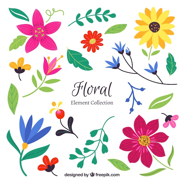Colección de elementos florales