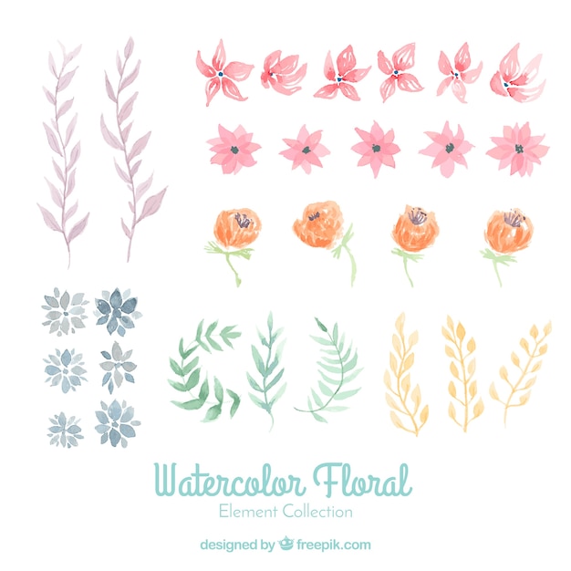 Vector gratuito colección de elementos florales