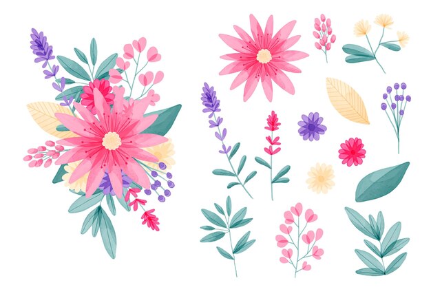 Colección de elementos de flores de acuarela pintados a mano