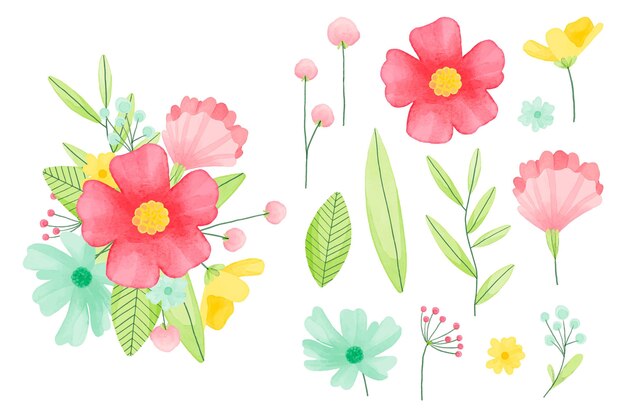 Colección de elementos de flores de acuarela pintados a mano