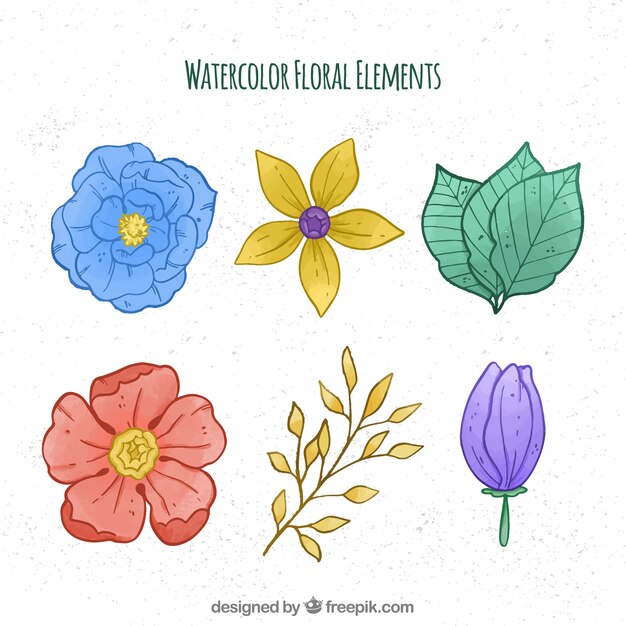 Vector gratuito colección de elementos flores