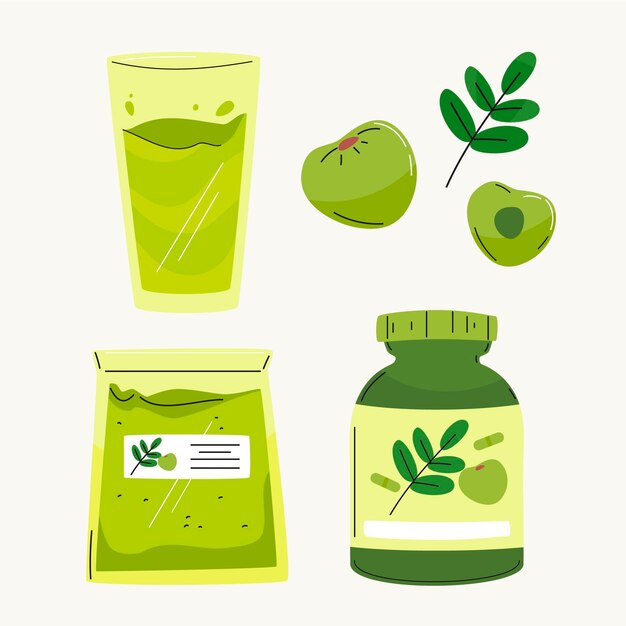 Colección de elementos de fruta amla dibujados a mano
