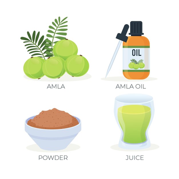 Colección de elementos de fruta orgánica plana amla