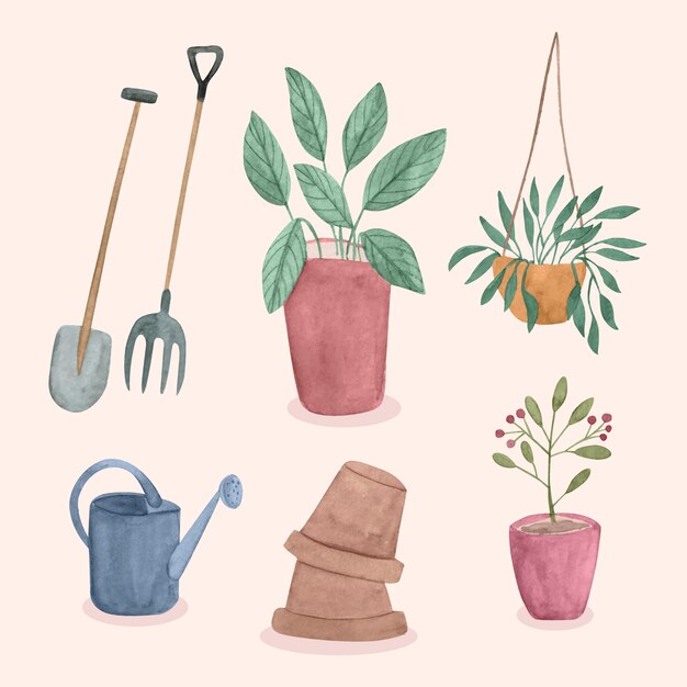 Colección de elementos de jardín botánico en acuarela