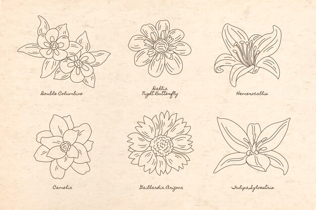 Colección de elementos del jardín botánico.