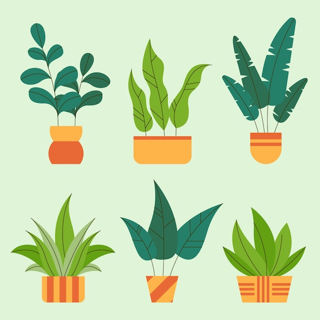 Colección de elementos del jardín botánico.