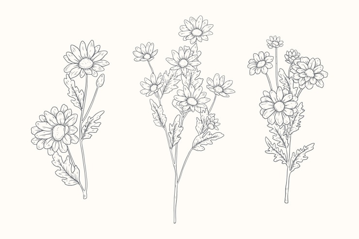 Vector gratuito colección de elementos del jardín botánico.