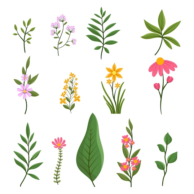 Colección de elementos del jardín botánico.
