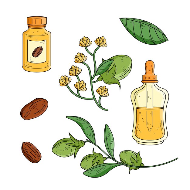 Colección de elementos de jojoba dibujados a mano realistas