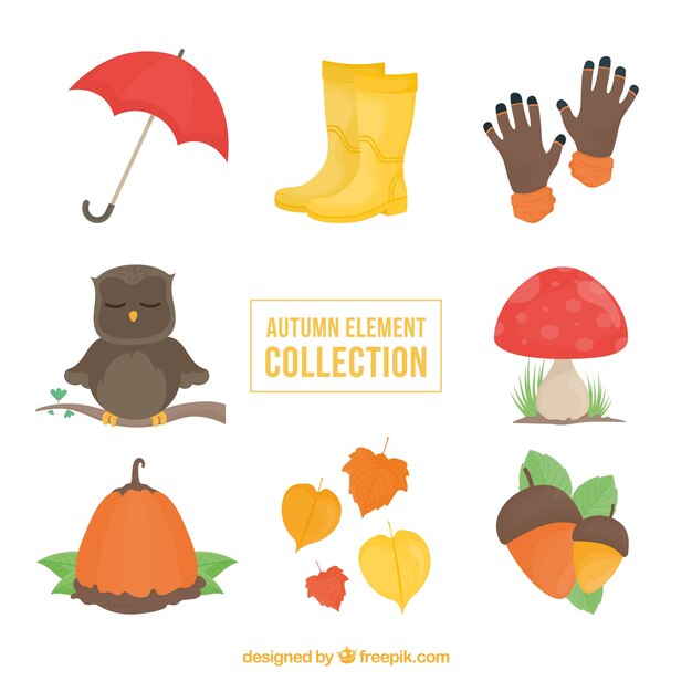 Colección de elementos naturales de otoño  y búho