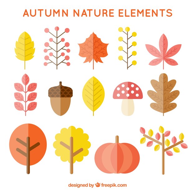 Colección de elementos naturales de otoño 