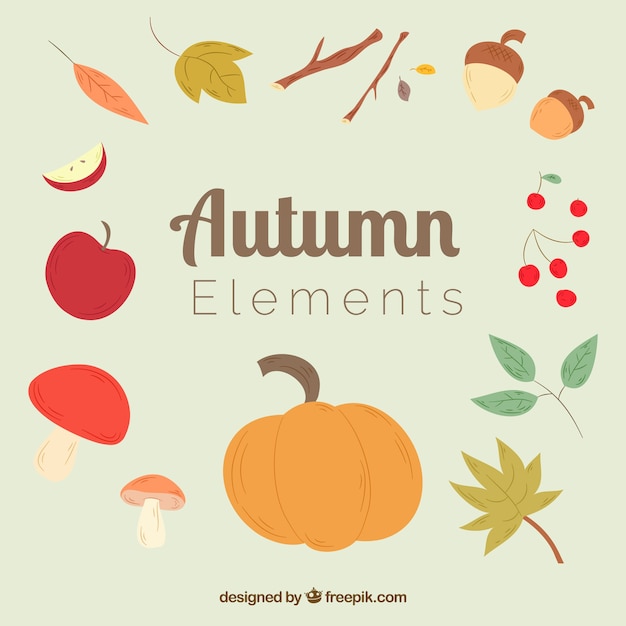 Colección de elementos naturales de otoño 
