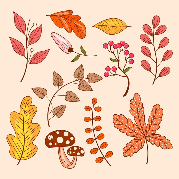 Colección de elementos de otoño dibujados a mano