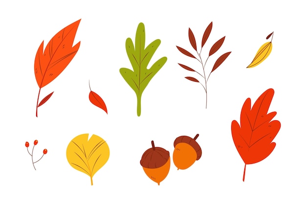 Colección de elementos de otoño dibujados a mano