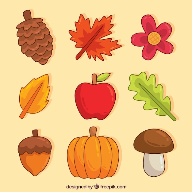 Vector gratuito colección de elementos de otoño