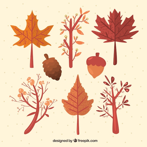 Vector gratuito colección de elementos de otoño