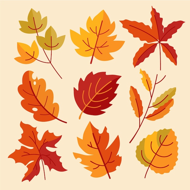 Colección de elementos planos para la celebración de la temporada de otoño