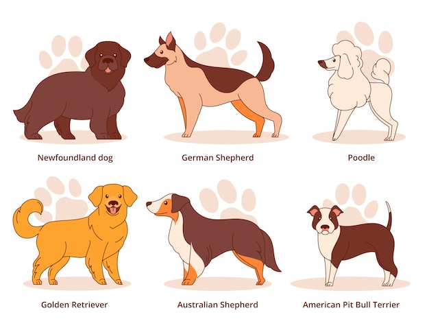 Colección de elementos de razas de perros dibujados a mano