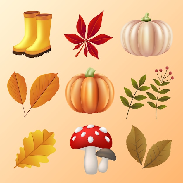 Vector gratuito colección de elementos realistas para el otoño.