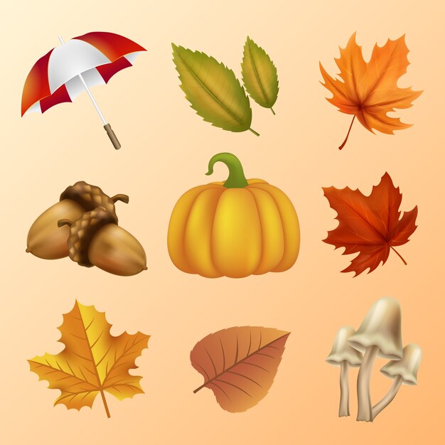 Vector gratuito colección de elementos realistas para el otoño.