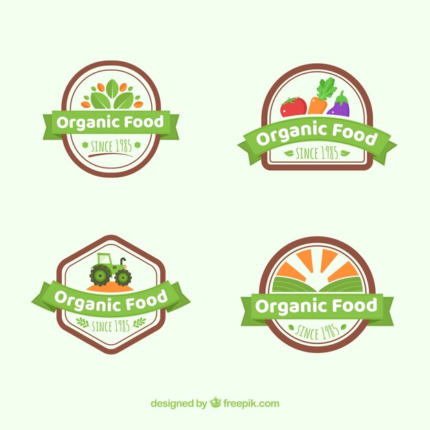 Colección de etiquetas de comida orgánica con diseño plano