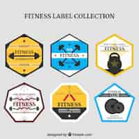 Vector gratuito colección de etiquetas de fitness