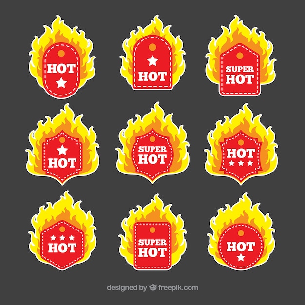 Colección de etiquetas / insignias de fuego con diseño plano