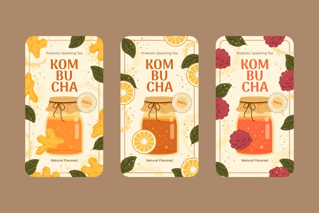 Colección de etiquetas de kombucha dibujadas a mano