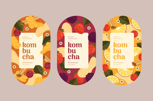 Colección de etiquetas de kombucha dibujadas a mano