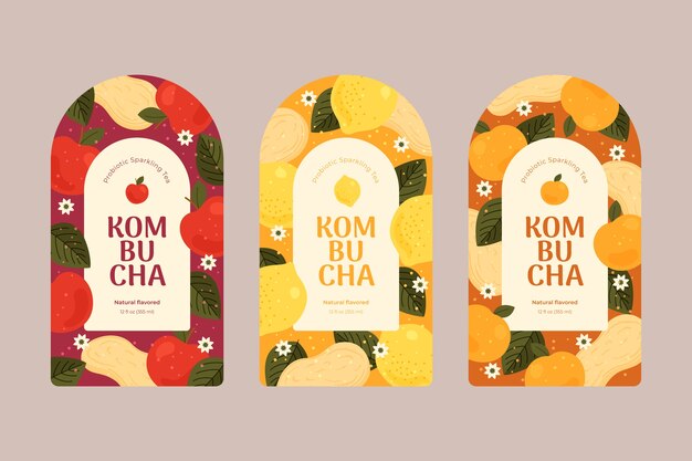 Colección de etiquetas de kombucha dibujadas a mano