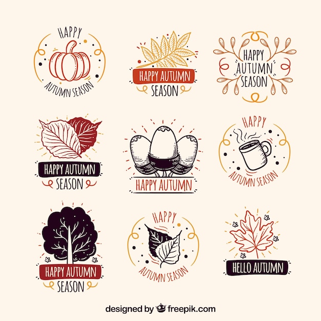 Colección de etiquetas de otoño con hojas