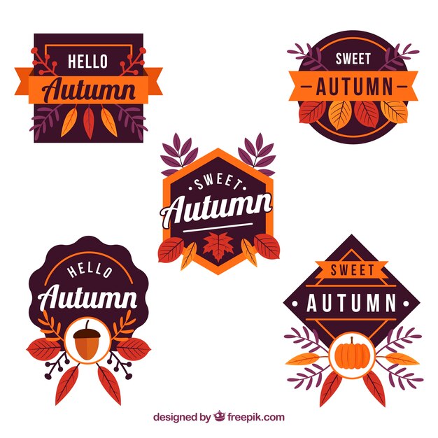 Colección de etiquetas de otoño con hojas