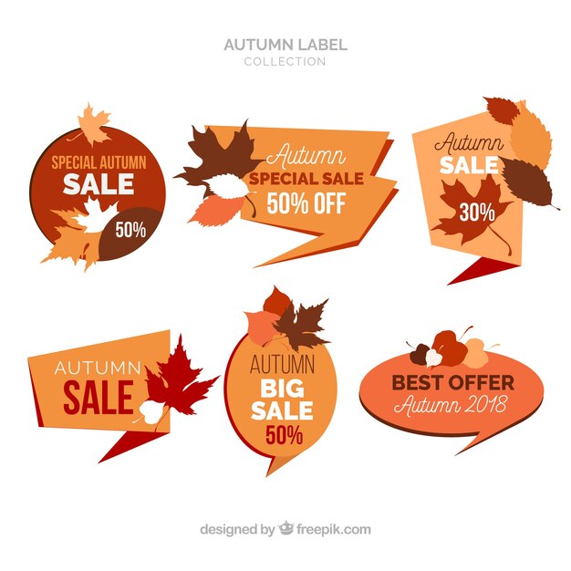 Colección de etiquetas de otoño con naturaleza