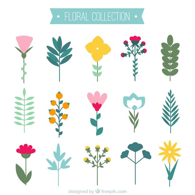 Colección fantástica de diferentes tipos de flores