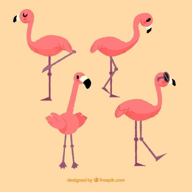 Colección de flamencos planos en diferentes posturas
